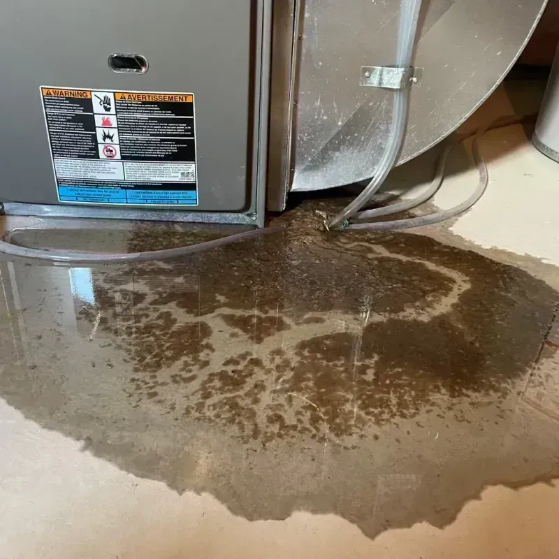 Appliance Leak Cleanup in Holt County, MO